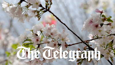 Join the Macon Telegraph for a reader event. Meet our reporters, ask us questions.