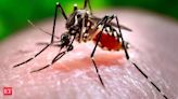 Zika virus cases reported in Pune, total tally rises to six - The Economic Times