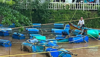 Cage fish farming damages: Fishermen seek compensation