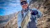 How to Successfully Fly Fish for Northern California Spotted Bass