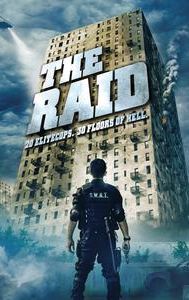 The Raid: Redemption