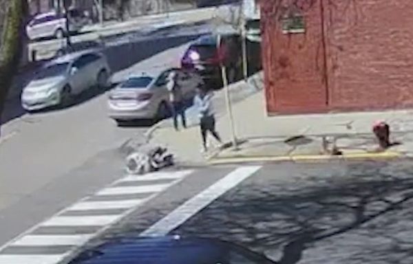 'Why?!' COPA releases video of off-duty Chicago cop shooting dog in head