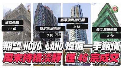 周末持續淡靜 一手僅46宗成交 市場期望NOVO LAND提振一手銷情！