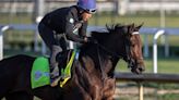 How much does a Kentucky Derby horse cost? Here are the prices on this year’s contenders.