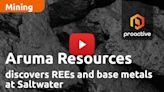 Aruma Resources discovers REEs and base metals at Saltwater