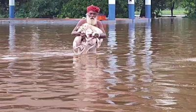 73-Year-Old Kerala Man Rescues Stranded Puppies From Waterlogged Aluva Mahadeva Temple; Heartwarming VIDEO Goes Viral