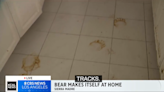 Large sticky paw prints lead away from fridge in California home after bear breaks in