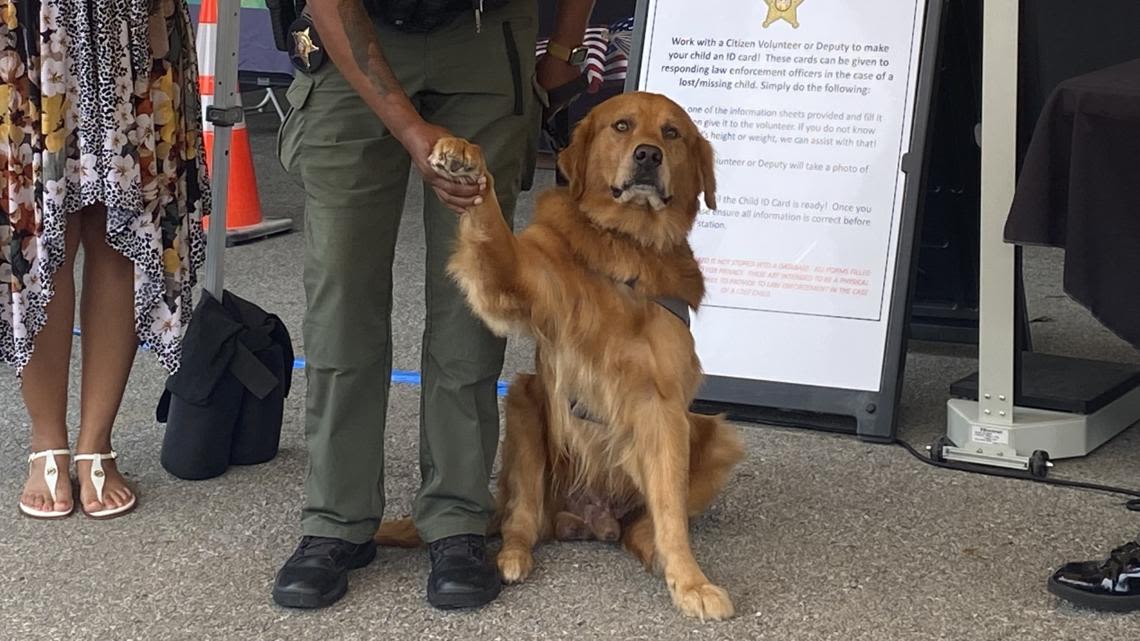 Sunny the golden retriever sworn in as Franklin County Sheriff's Office newest therapy dog