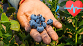 Estas son las frutas que no debes dejar de comer si tienes 50 años o más