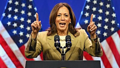 Kamala Harris pitches in as a Democrat candidate: Statement in full