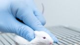 Only 1 in 20 animal studies results in treatments approved for humans