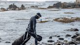 Perú: así lograron los pescadores de Marcona recuperar el erizo rojo | Blogs El Espectador