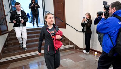 Greta Thunberg fined for blocking Swedish parliament entrance