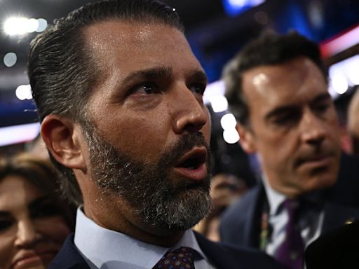 Don Jr gets into testy exchange with MSNBC reporter at RNC: ‘Just get out of here’