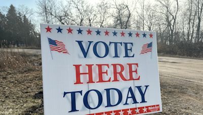 Who's on the ballot for Northern Michigan House seats, 1st Congressional District