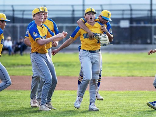 Baseball playoff preview: CCAL down to the wire, Stanislaus District top 10 playoff teams