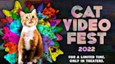 Meow! CatVideoFest returns to Enzian this weekend