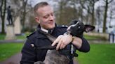 Puppy gets new home with Met police officer who rescued her from squalid flat