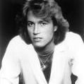 Andy Gibb