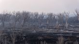 Smokehouse Creek Fire burns through Texas Panhandle, spares some communities