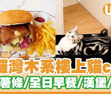 銅鑼灣木系樓上貓cafe「Catio」 炸魚薯條／全日早餐／漢堡／窩夫／雞蛋仔 | U Food 香港餐廳及飲食資訊優惠網站