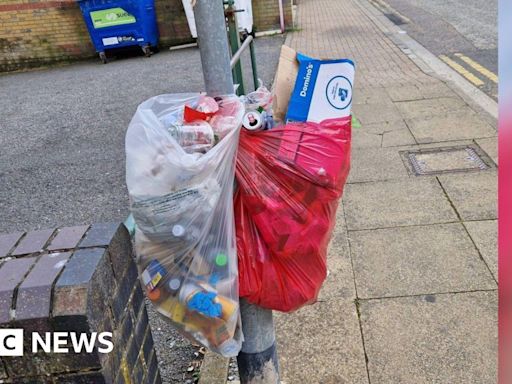 Peterborough Litter Wombles hails 'lamp-post bins' trial