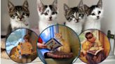 Lakeland Humane Society offers Reading Buddy Program for kids and cats