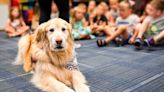 Dogs help calm anxiety, offer life lessons to kids and adults in this school district