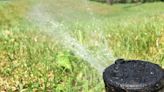 Central Okanagan regional district issues Stage 3 outdoor watering restrictions - Okanagan | Globalnews.ca