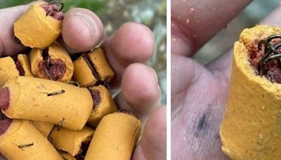 Fish hooks found in dog treats on Appalachian Trail in Lehigh County, Pennsylvania