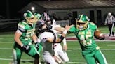 Roundup: Newark Catholic football blanks Bishop Rosecrans in OHSAA playoff win