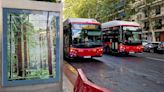 Conductores de Tussam vuelven a alertar de la "ocupación indebida" de las paradas por parte de autobuses turísticos