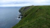 Cape St. Mary's Ecological Reserve