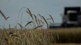 EU states agree 'prohibitive' tariffs on Russia grain imports