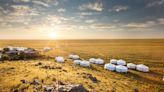 Want to travel like a local? Sleep in a Mongolian yurt or an Amish farmhouse