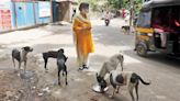 Mumbai: BMC data reveals sharp increase in dog bites