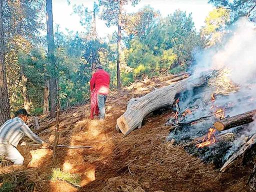 Incendios forestales crecen en Guerrero; registran quemas 20 municipios