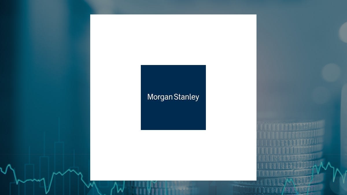 Cullen Frost Bankers Inc. Grows Position in Morgan Stanley Emerging Markets Debt Fund, Inc. (NYSE:MSD)