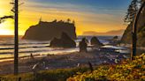 Why You Should Plan a Road Trip to Olympic National Park and the Olympic Peninsula