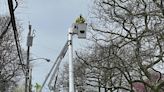 Helicopter, bucket trucks cutting trees away from power lines in Valley