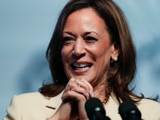 Elections 2024 live: Kamala Harris and running mate to tour key swing states ‘next week’