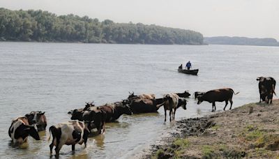 Danube River recedes in Romania, affecting river traffic