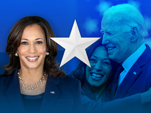 Adam Boulton: Unlike Veep, Harris's campaign for the White House is like no other