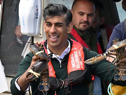 General Election 2024 LIVE: Rishi Sunak rides campaign 'choppy waters' catching lobster in Devon