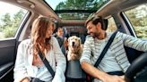 Consejos para no gastar de más si viajas con tus mascotas en verano - El Diario NY