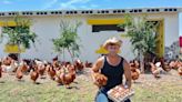 El trabajador de la Ford reconvertido en granjero que vende 146.000 huevos al año