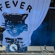 Fever 333