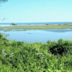 Ellisville Harbor State Park