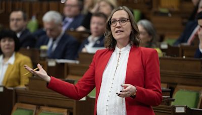 Liberal MPs suggests party needed stronger ground game in Toronto—St. Paul's vote