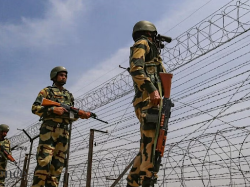 Gujarat: BSF officer, jawan die due to extreme heat exposure during Pak border patrol - The Economic Times